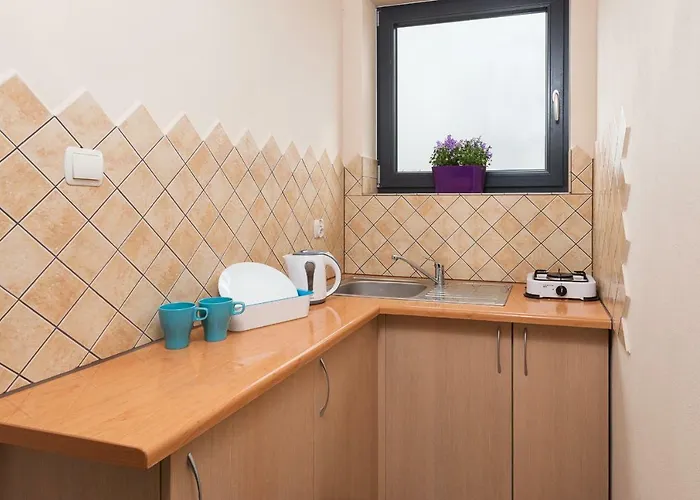 Accommodatie bij particulieren Daniela Ii - Chlapowo *